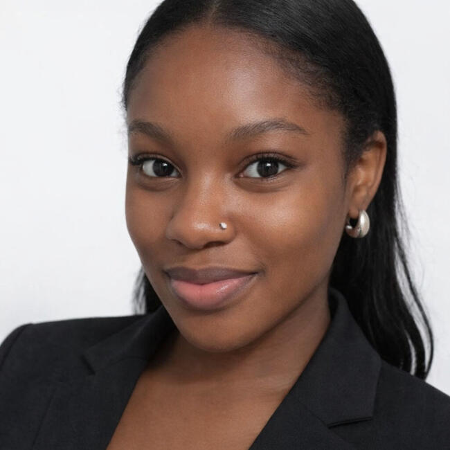 Babysitting job in The Bronx: Sydonie