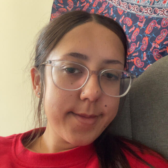 Babysitter in Christchurch: India