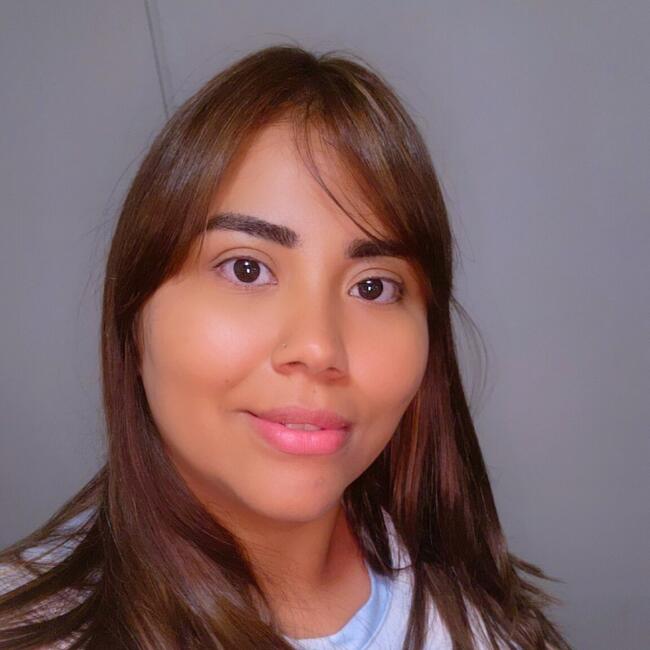 Babysitter in Santiago: Dorelid