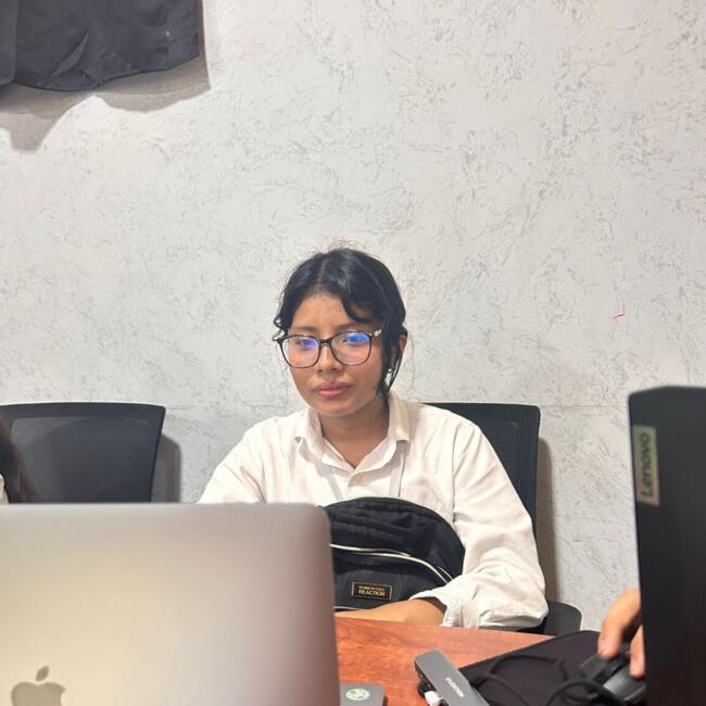 Babysitter in Llano Marín: Alexandra Rodríguez