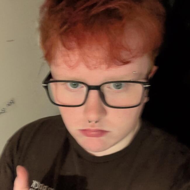 Babysitter in Ashford: Ashton