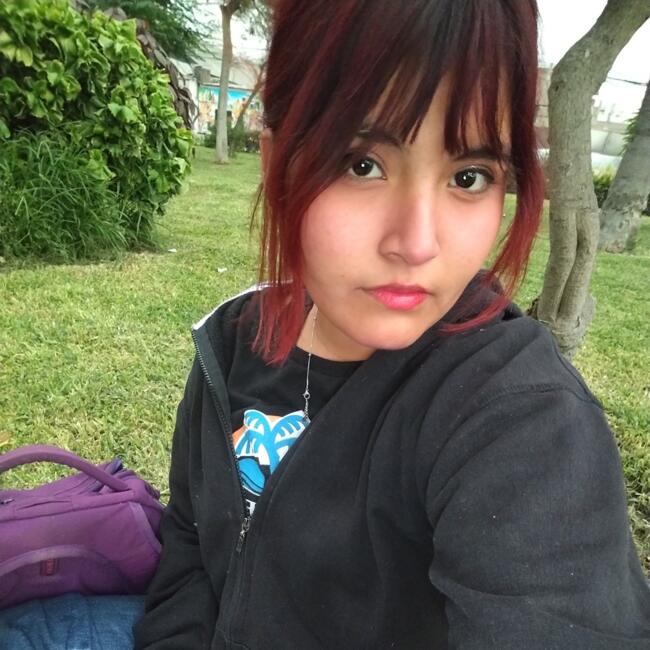 Babysitter in San Juan de Lurigancho: Nicol