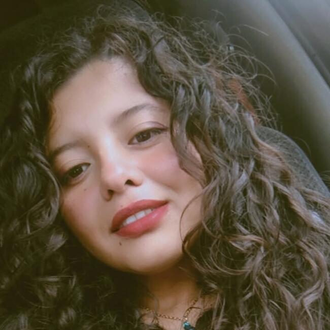 Babysitter in Amozoc de Mota: Flores