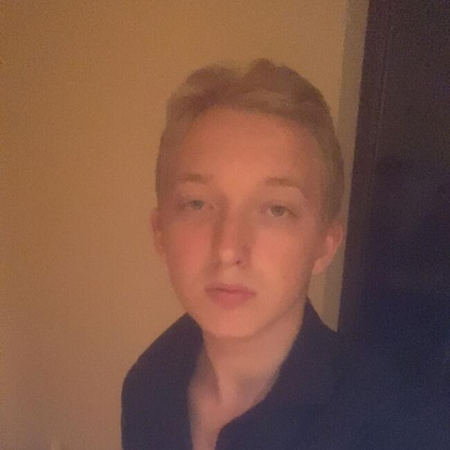 Babysitter in Norberg: Isac