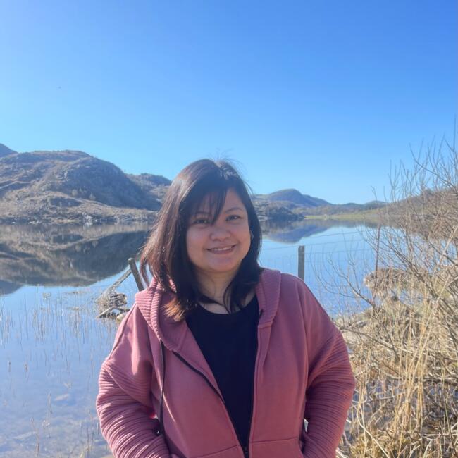 Baby-sitter in Torrejón de Ardoz: Maine