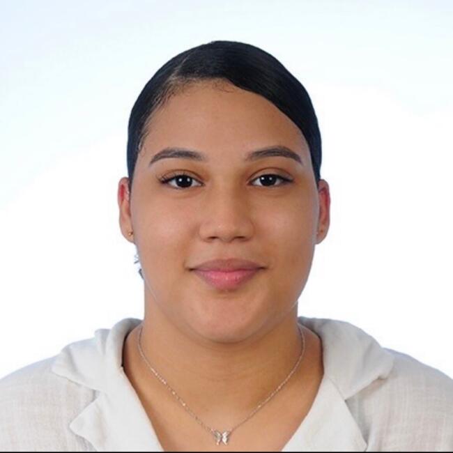 Niñera en Santo Domingo (Distrito de Santo Domingo): Hasnel rincon