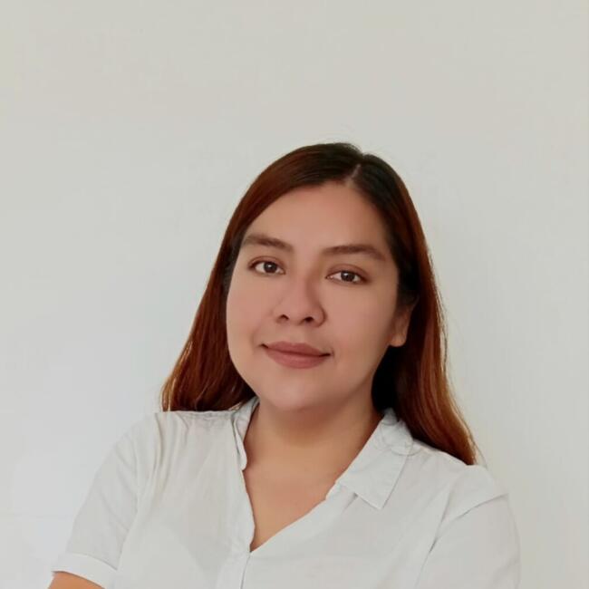 Babysitting job in Querétaro City: MARIA FE