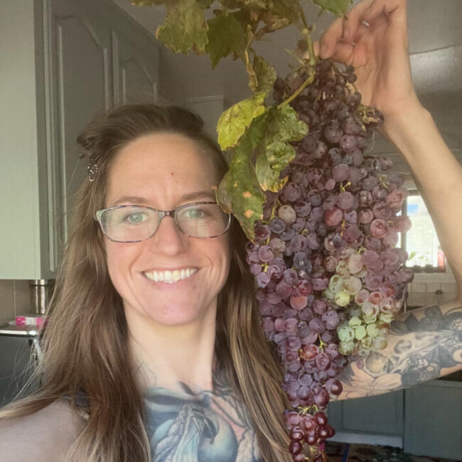 Babysitter in Fairfield: Allison