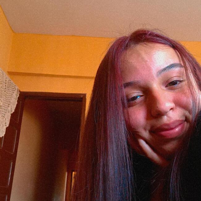 Babysitter in Ponta Porã: Milena