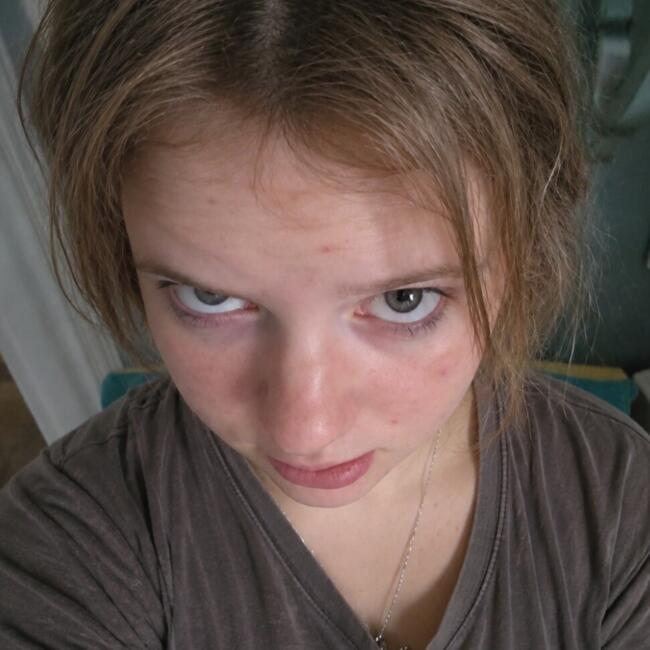 Babysitter in Pekin (Illinois): Liv