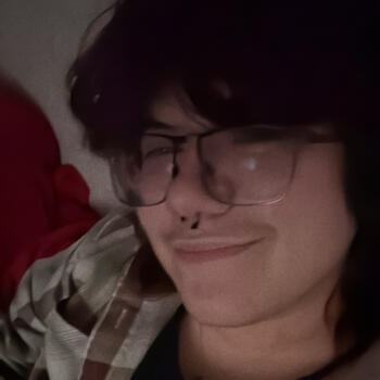 Babysitter in Fayetteville (Arkansas): Norman