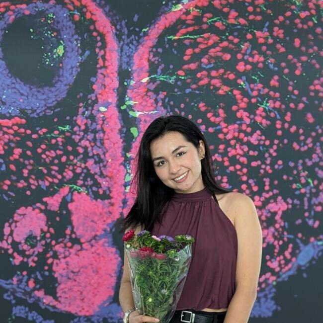 Babysitter in Dresden: Laura