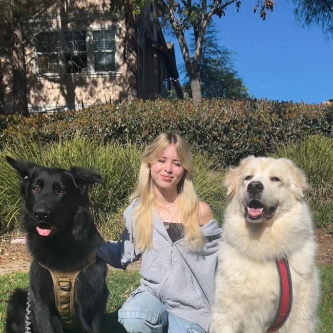 Babysitter in Ladera Ranch: Nevaeh