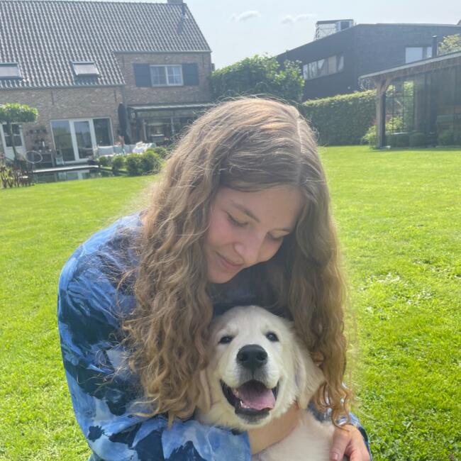 Babysitter in Bonheiden: Free