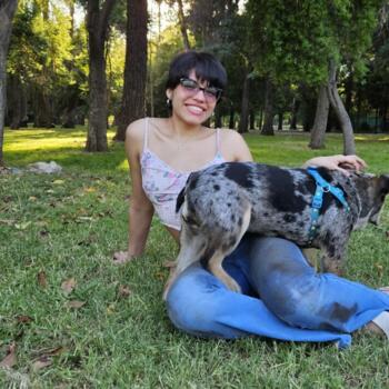 Niñera en Santiago de Chile: Betzabeth