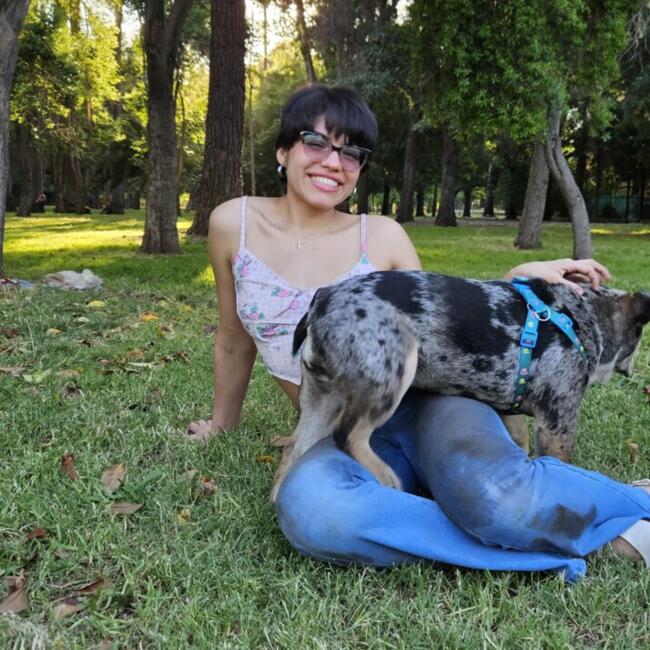 Babysitter in Santiago: Betzabeth