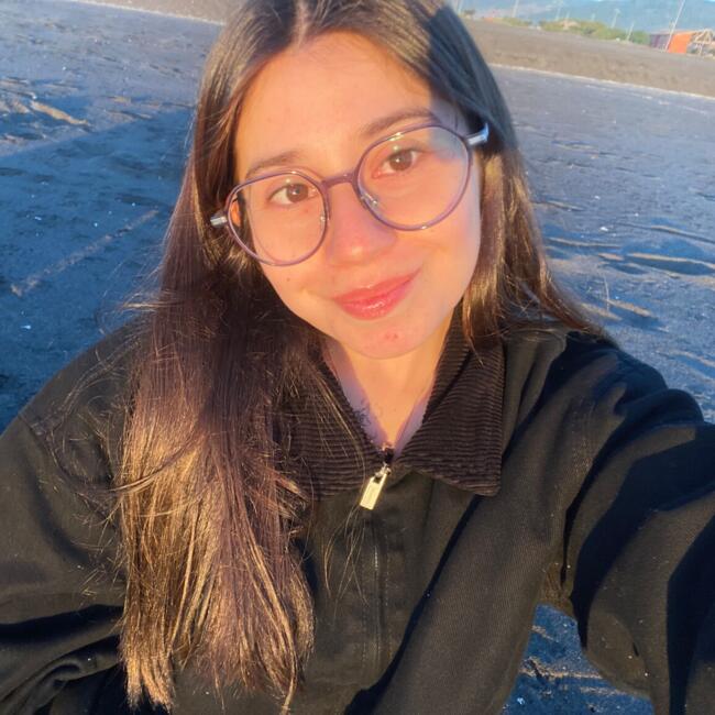 Niñera en Concepción: Aracely