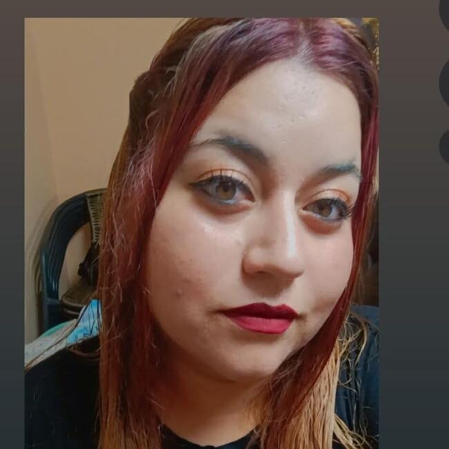 Babysitter in Copiapó: Javiera
