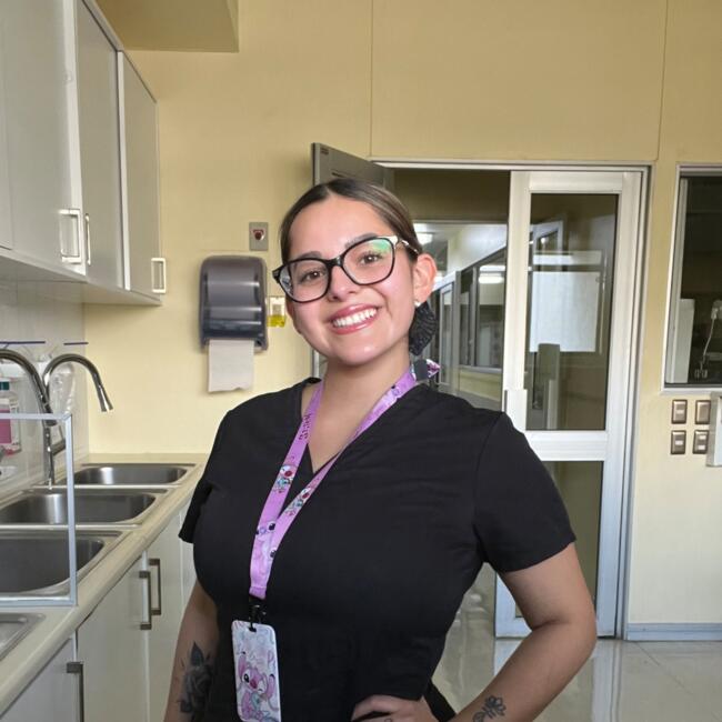 Niñera en Viña del Mar: Isabel