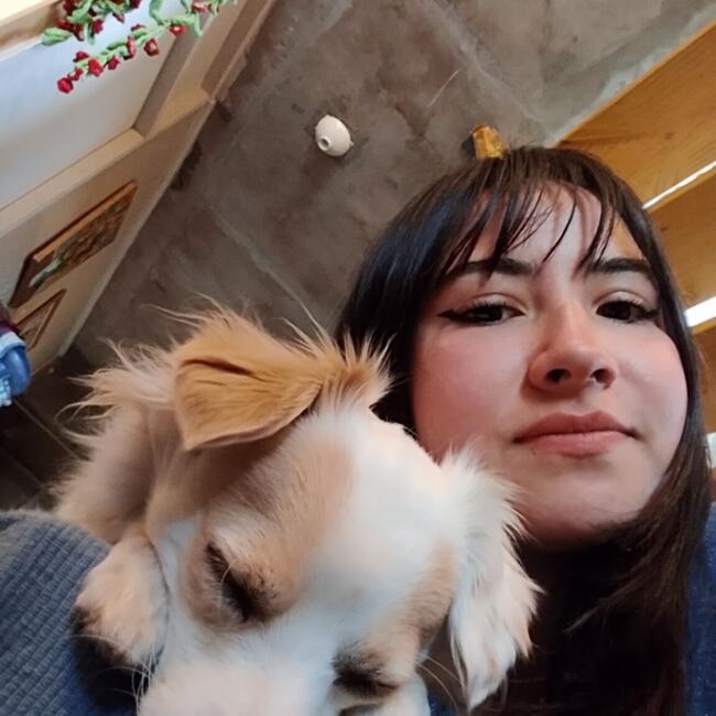 Babysitter in Isla de Maipo: Ashly