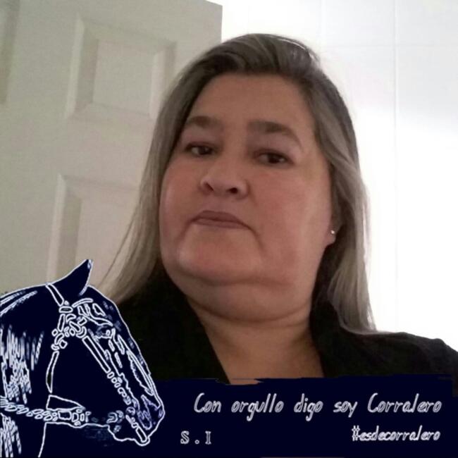 Niñera en Renca: Liliana RubilarLoliaa LiLilian