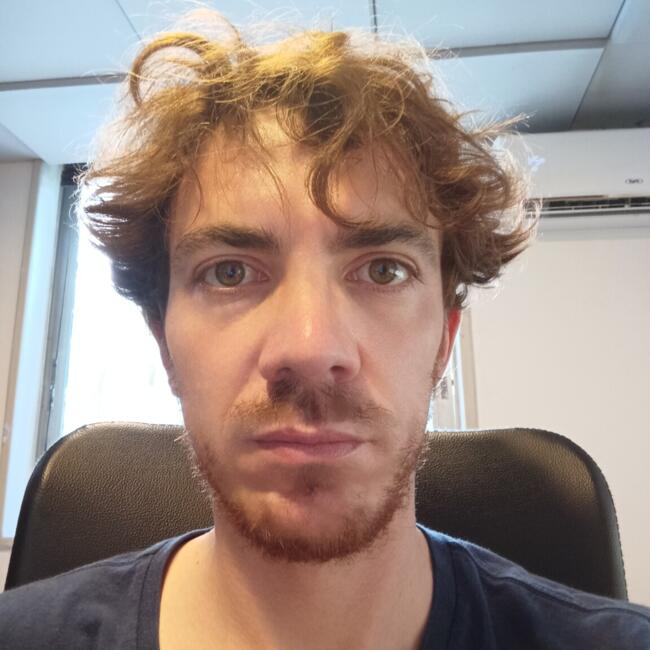 Babysitting job in Santiago: Julien