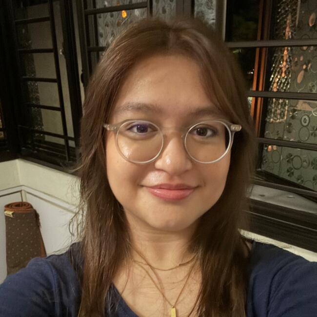 位于新加坡的临时保姆: Salma