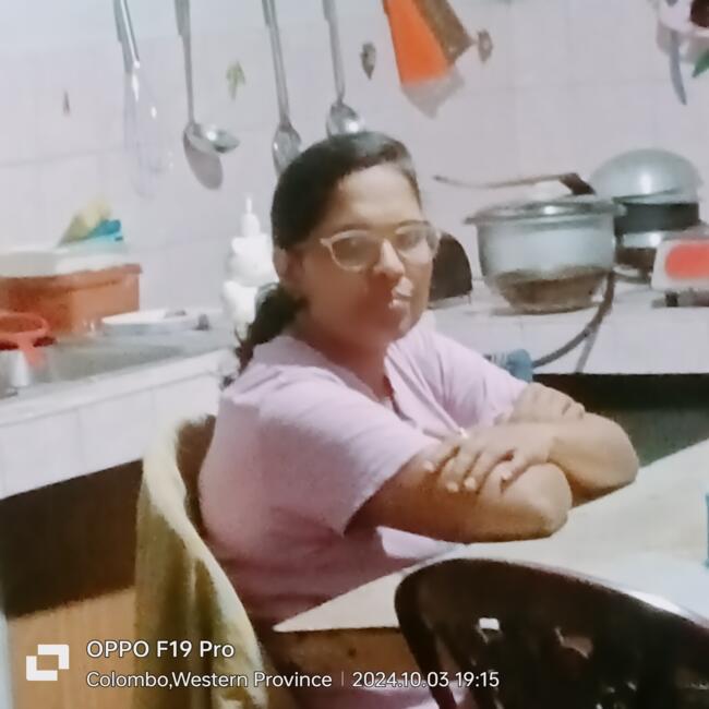 Babysitter in Homagama: Inoka