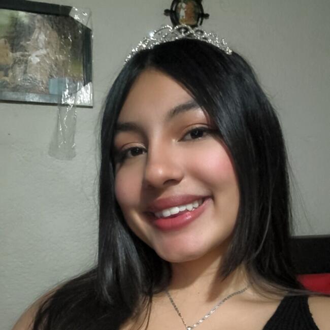 Niñera en Zipaquirá: Lessly Nicoll Diaz López