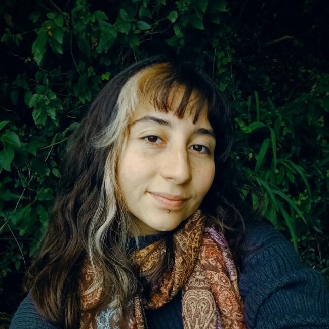 Niñera en Puerto Varas: Javiera