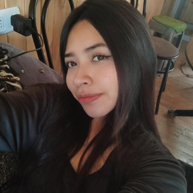 Babysitter in Temuco: Rayen