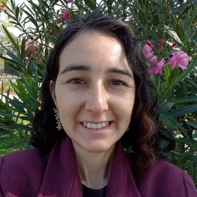 Babysitter in Santiago: Vannia Sáez Figueroa