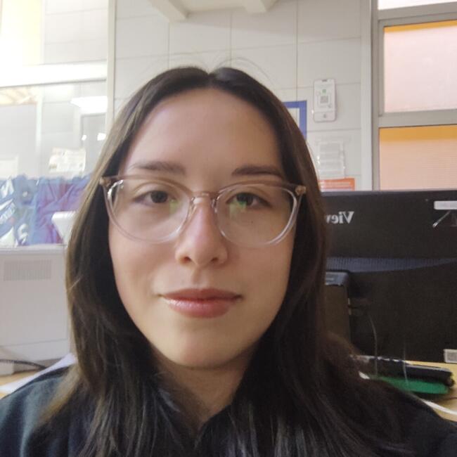 Niñera en Santiago de Chile: Sofia