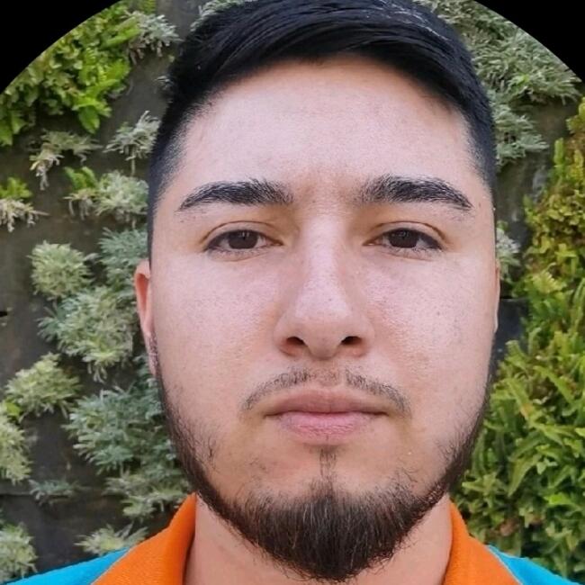 Trabajo para niñera en Santiago de Chile: Bastian