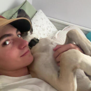 Babysitter in Colorado Springs: Bryce