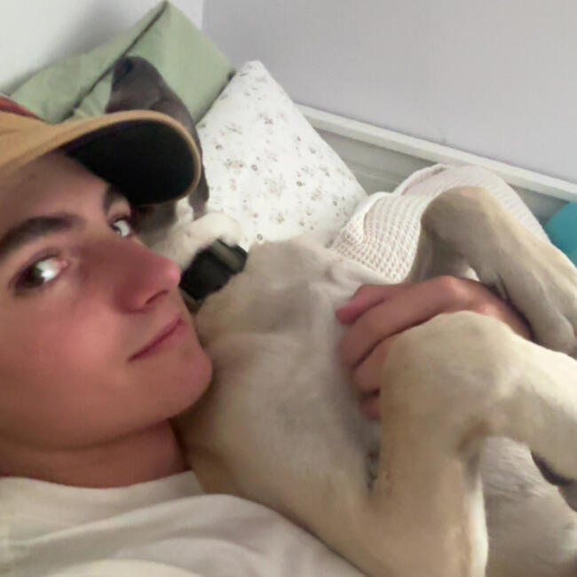 Babysitter in Colorado Springs: Bryce