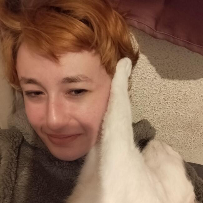 Babysitter in Toulouse: Laure