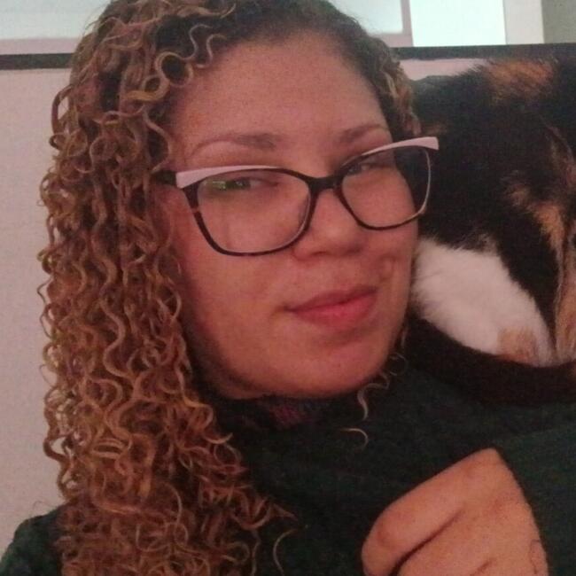 Babysitting job in Nova Friburgo: Leina