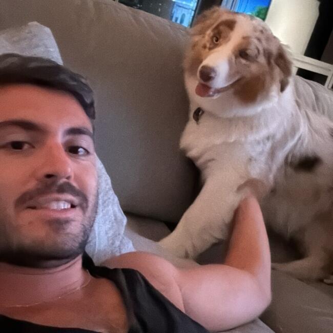 Babysitting job in Porticcio: Mikel