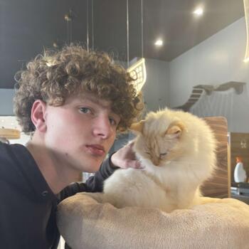 Baby-sitter in Auckland: Hudson