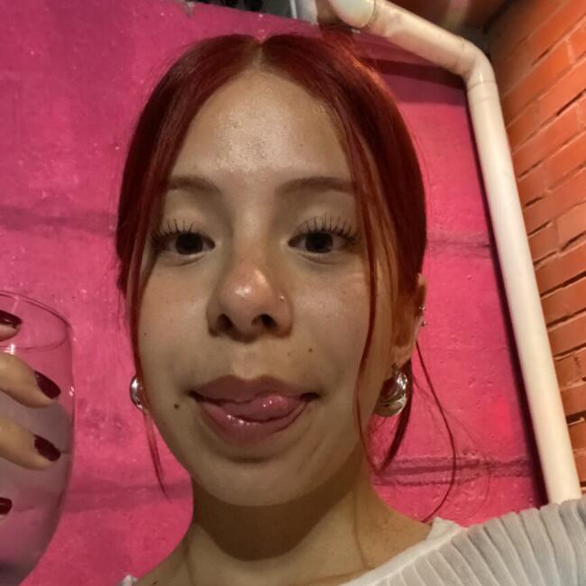 Babysitter in La Pintana: Javiera