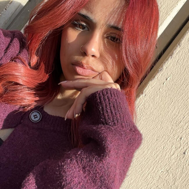 Babysitter in Tremblay-en-France: Beenish