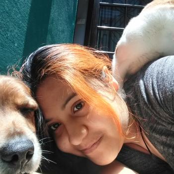 Babysitter Comas (Lima region): Betsy