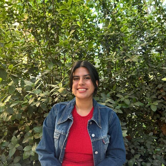 Babysitter in Viña del Mar: Amanda