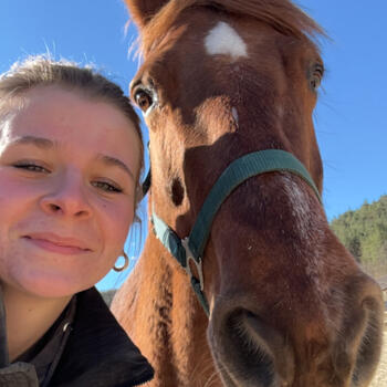 Babysitter Bamberg: Anna