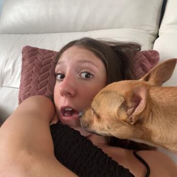 Babysitter in Saint-Martin-du-Tertre: Tiphaine