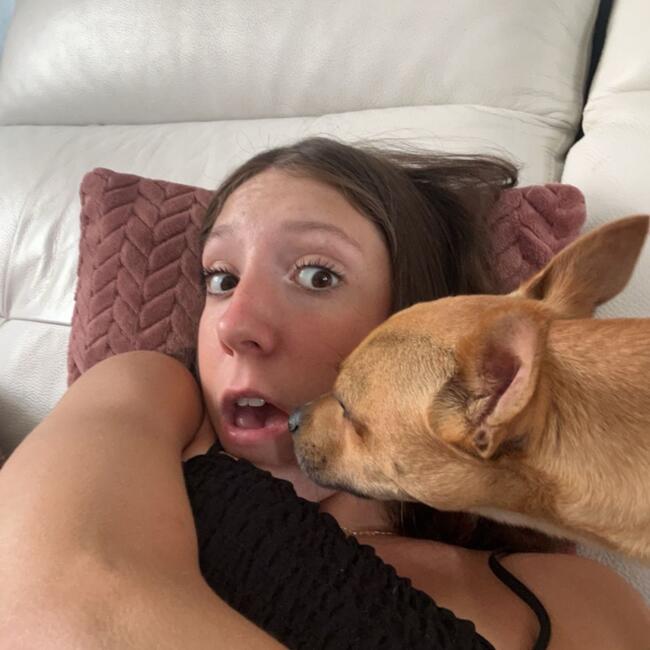 Babysitter in Saint-Martin-du-Tertre: Tiphaine