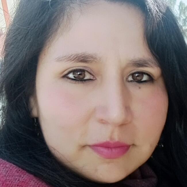 Niñera en Llaillay: Liset