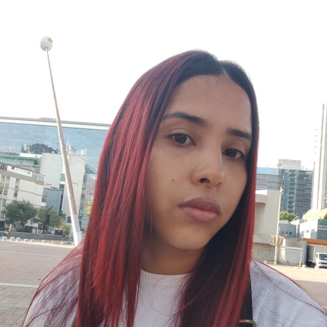 Niñera en Maracay: Orimar