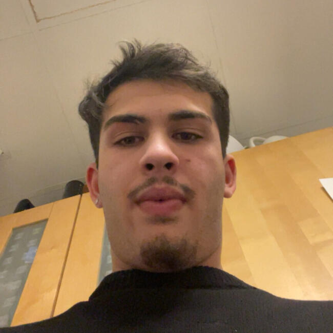 Babysitter in Enköping: Rami